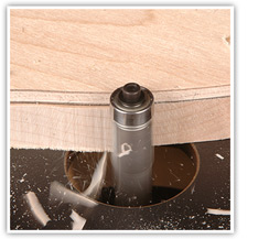 flush trimming router bit